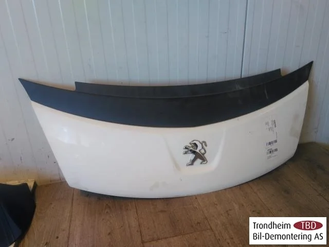 Peugeot ION Motorháztető vedere 2