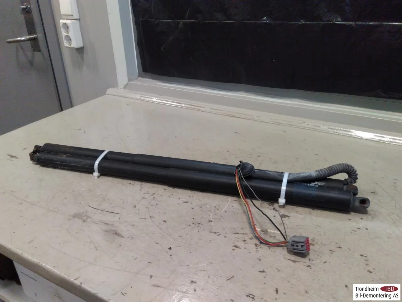 Tesla MODEL S 2013- Tailgate gas strut