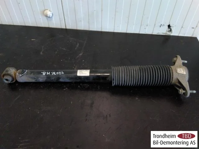 Tesla MODEL 3 2017--> Amortizor, spate