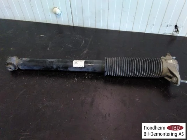 Tesla MODEL 3 2017--> Amortizor, spate