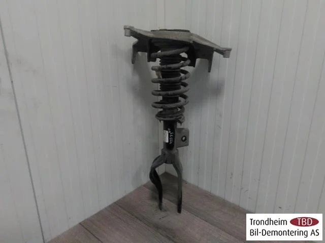 Tesla MODEL 3 2017--> Strut assembly, front right