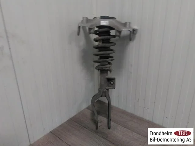 Tesla MODEL 3 2017--> Strut assembly, front left