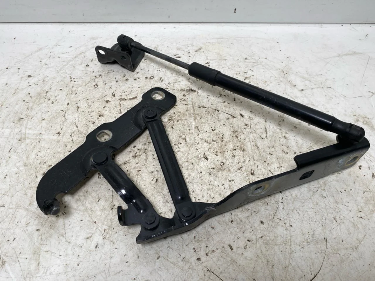 Hongqi E-HS9 2022- Hood hinge(s)