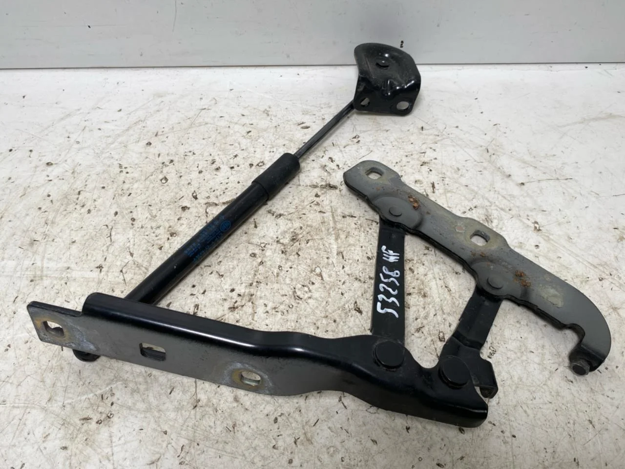 Hongqi E-HS9 2022- Hood hinge(s) view 2