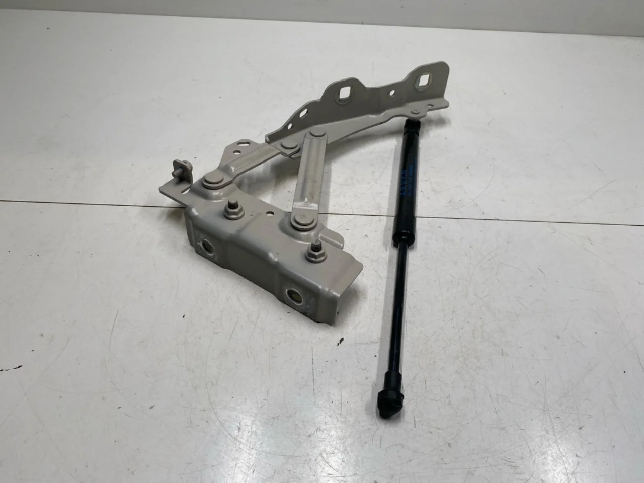 Hood gas strut