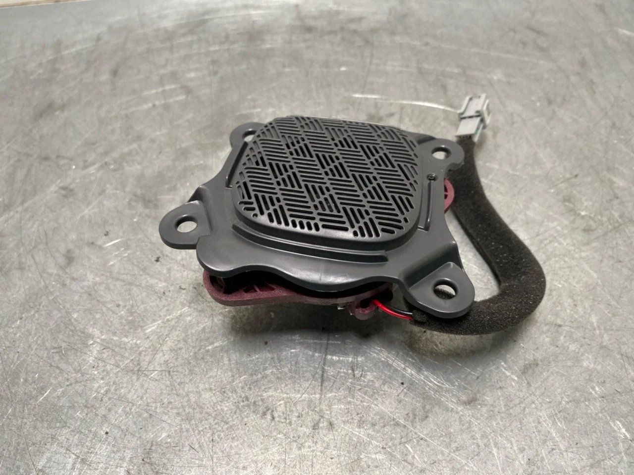 Speaker