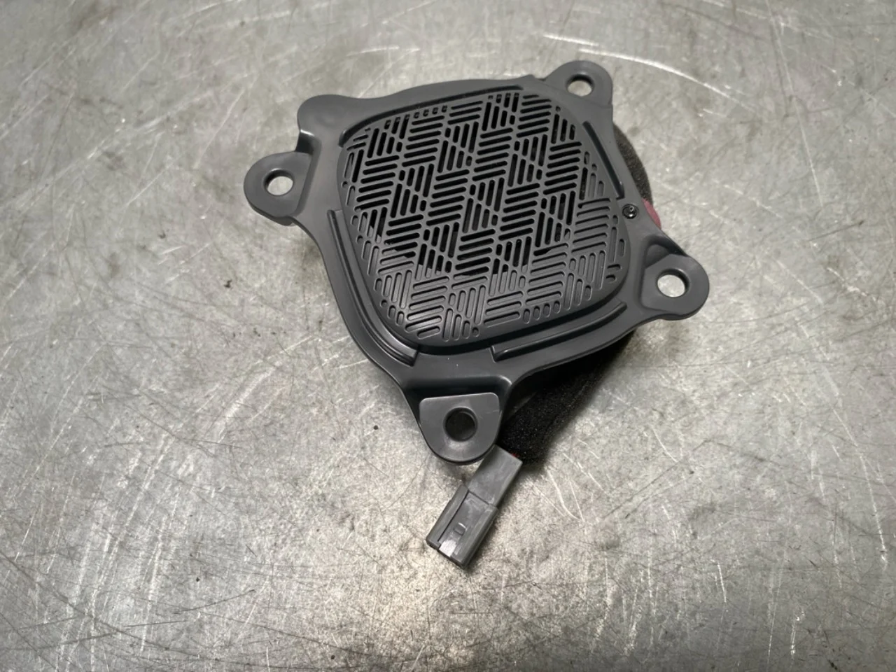 Speaker
