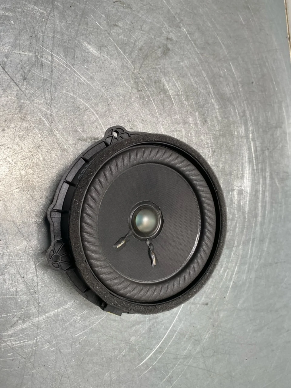 Speaker