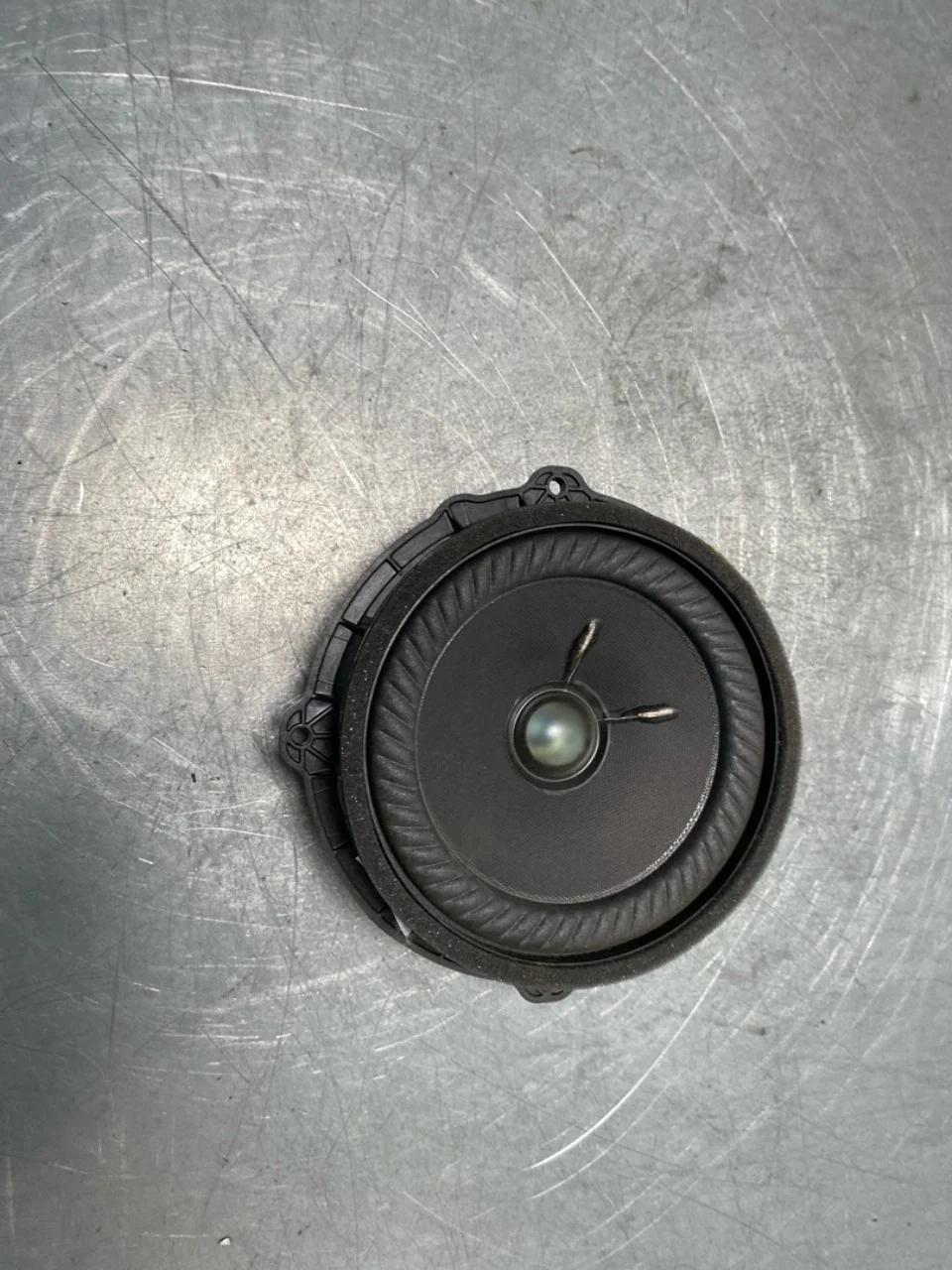 Speaker