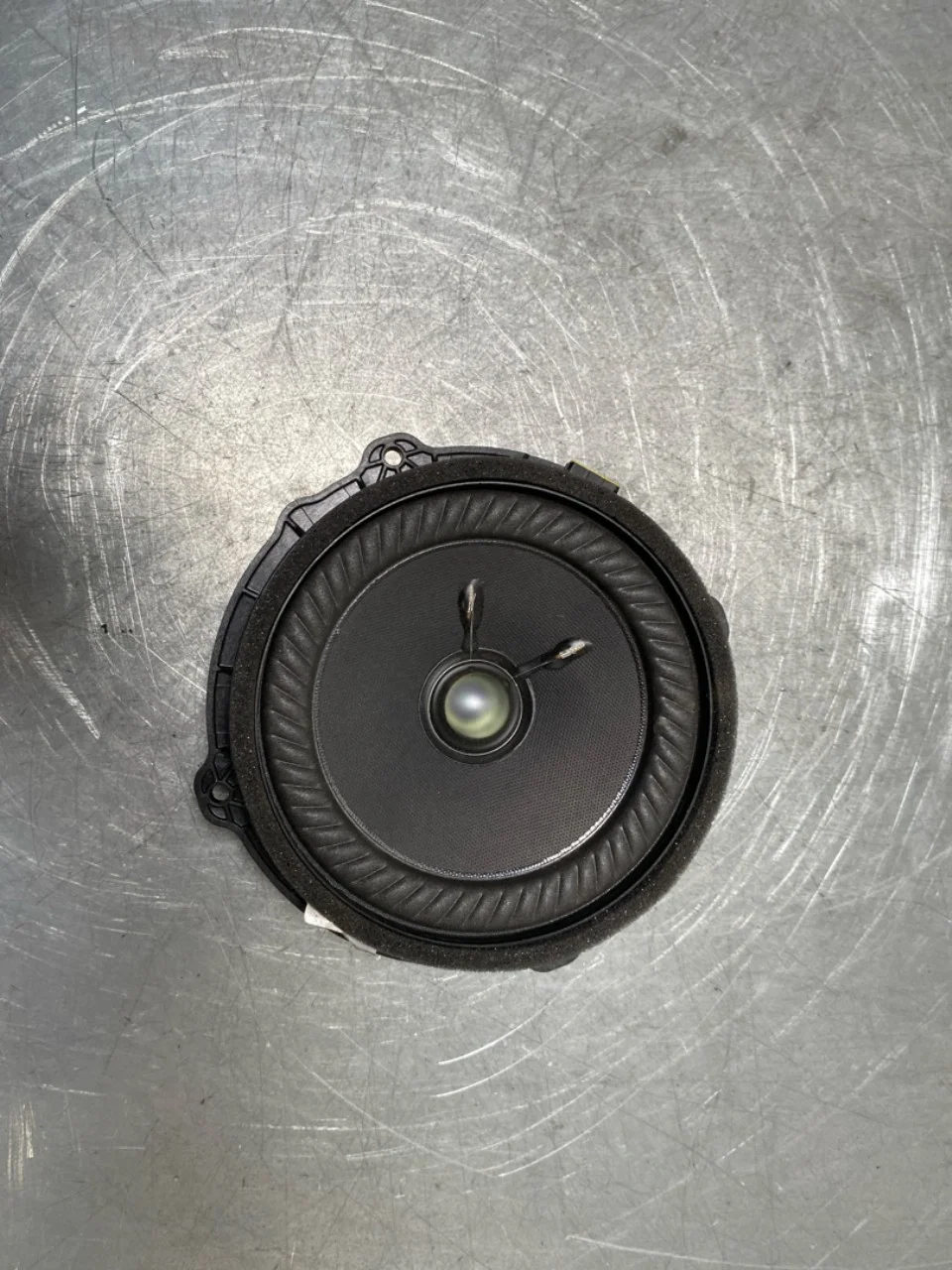 Speaker