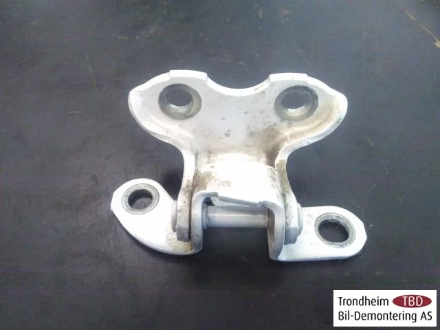 Lexus CT 200H Door hinge view 2