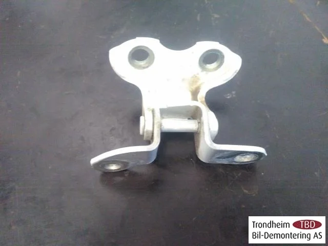 Lexus CT 200H Door hinge view 3