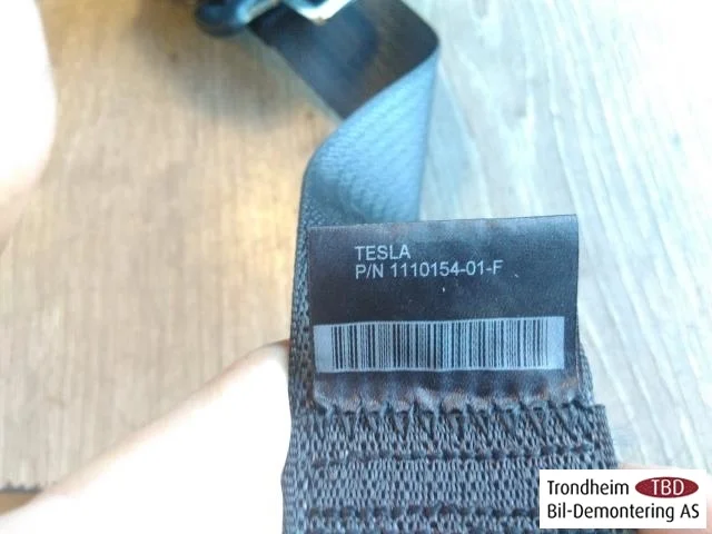 Tesla MODEL 3 2017--> Rear right seat belt view 2