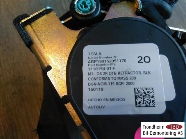 Tesla MODEL 3 2017--> Rear right seat belt view 4