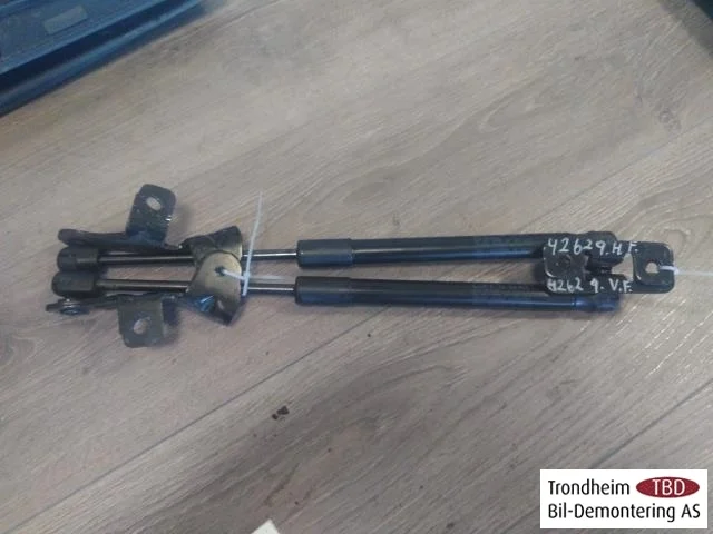 Tesla MODEL 3 2017--> Hood gas strut