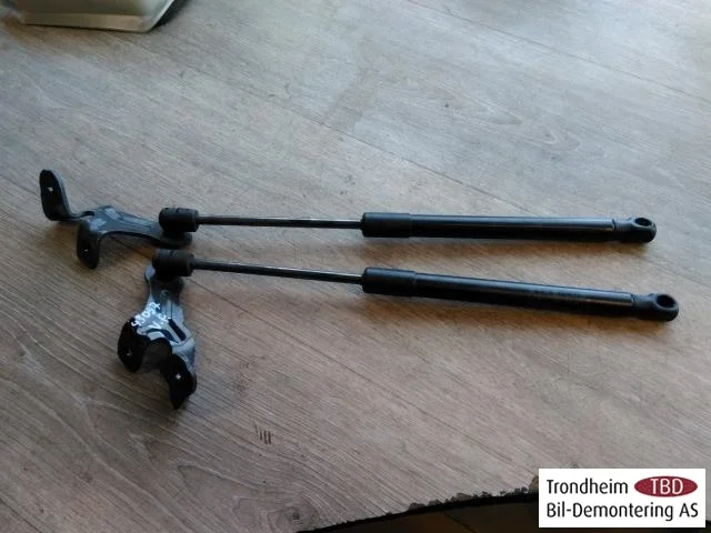 Tesla MODEL 3 2017--> Hood gas strut