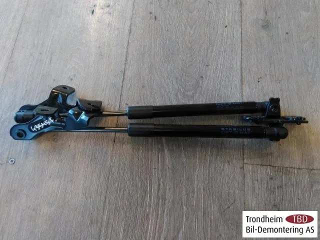 Tesla MODEL 3 2017--> Hood gas strut