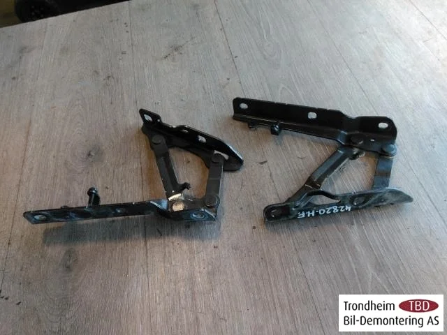 Tesla MODEL S 2013- Hood hinge(s)