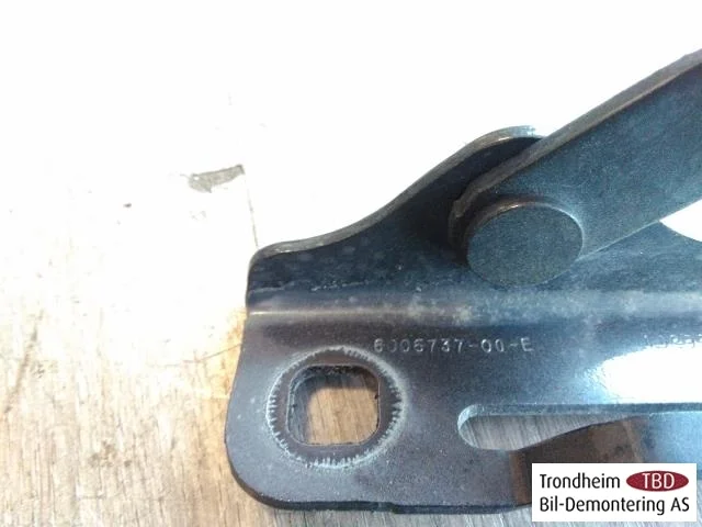 Tesla MODEL S 2013- Hood hinge(s) view 3