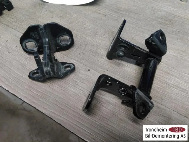 Tesla MODEL X 2016- Door hinge