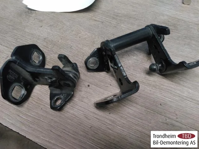 Tesla MODEL X 2016- Door hinge view 2