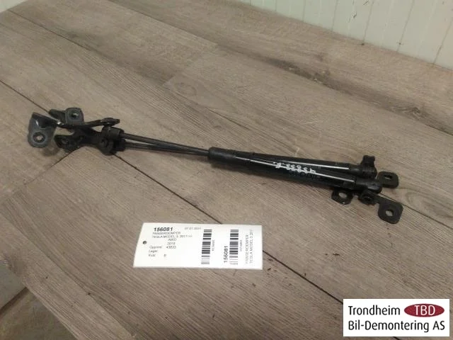 Tesla MODEL 3 2017--> Hood gas strut