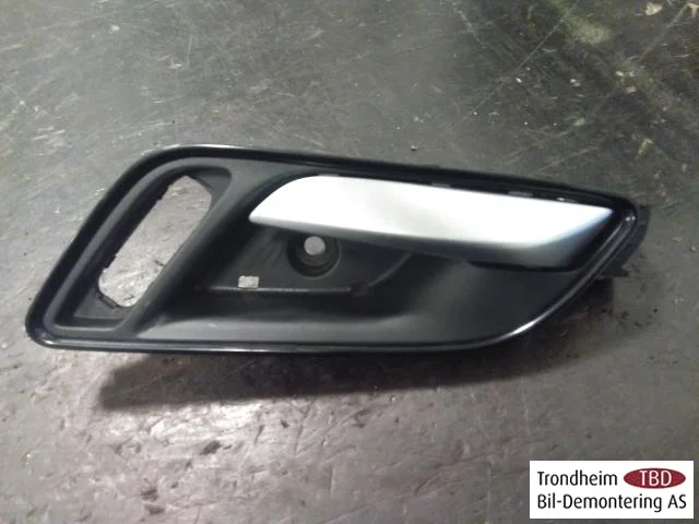 Mg ZS EV 2020- Interior door handle, left