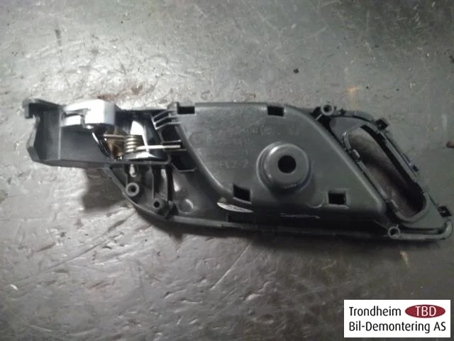 Mg ZS EV 2020- Interior door handle, left view 2