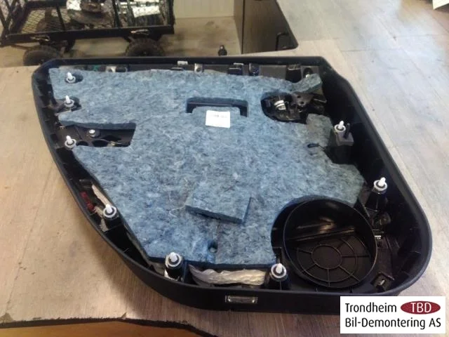 Tesla MODEL S 2013- Door trim panel, right view 4