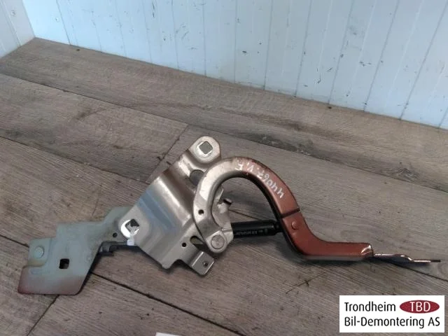 Renault ZOE/E- TECH 2013--> Hood hinge(s)