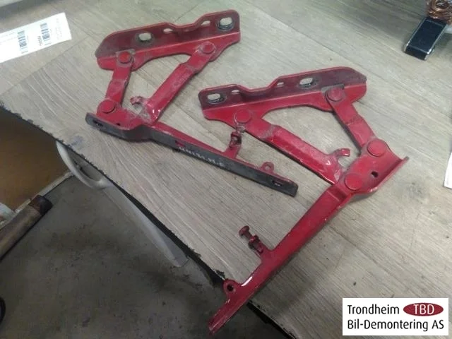 Tesla MODEL S 2013- Hood hinge(s) view 2