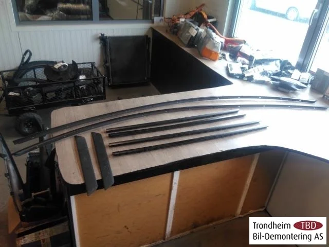 Tesla MODEL 3 2017--> Trim molding, other