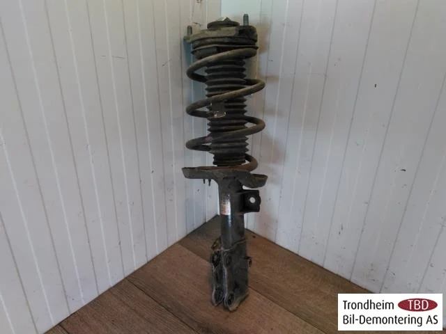 Hyundai IONIQ AE 2017-22 Strut assembly, front left