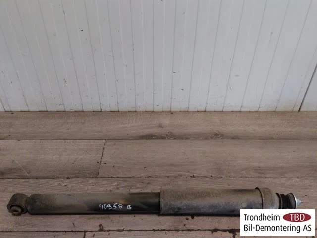 Nissan LEAF 2017-24 Shock absorber, rear view 2