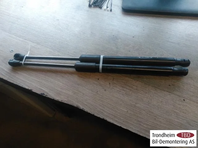 Porsche TAYCAN 2020- Hood gas strut