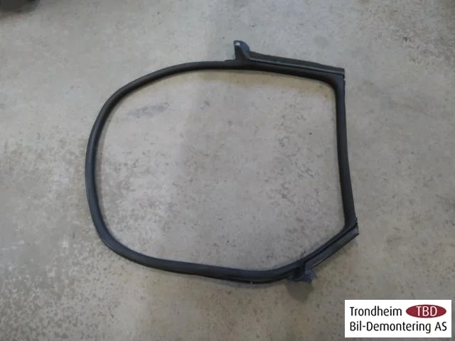 Porsche TAYCAN 2020- Trim molding, other