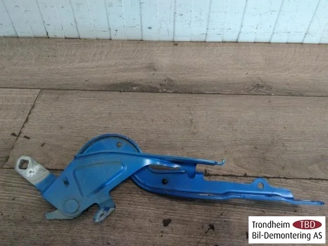 Peugeot 208/E-208 2020-> Hood hinge(s) view 2