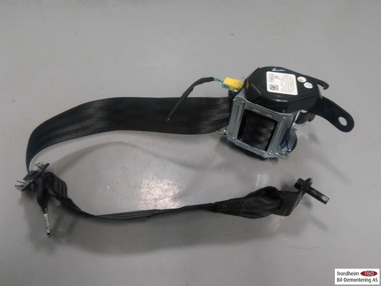 Ford MUSTANG MACH-E 2021- Rear right seat belt