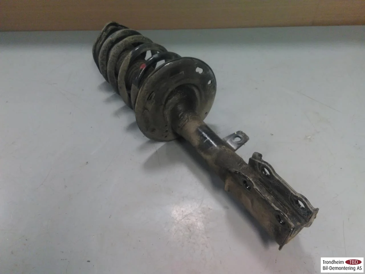 Byd TANG 2021->> Strut assembly, rear left