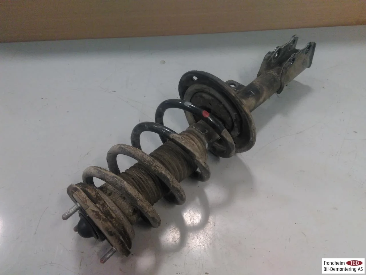 Byd TANG 2021->> Strut assembly, rear left view 2