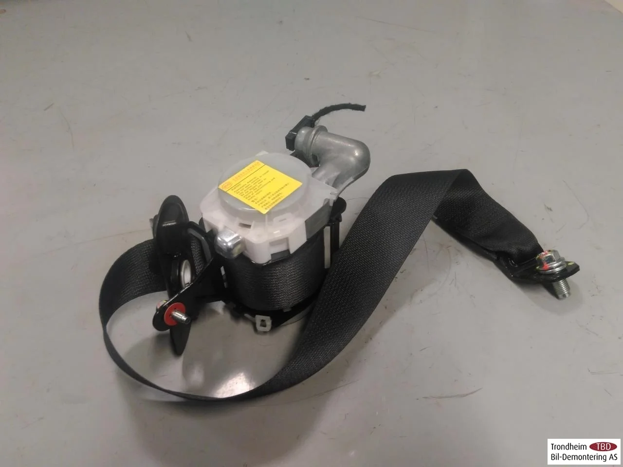 Byd TANG 2021->> Rear left seat belt view 2