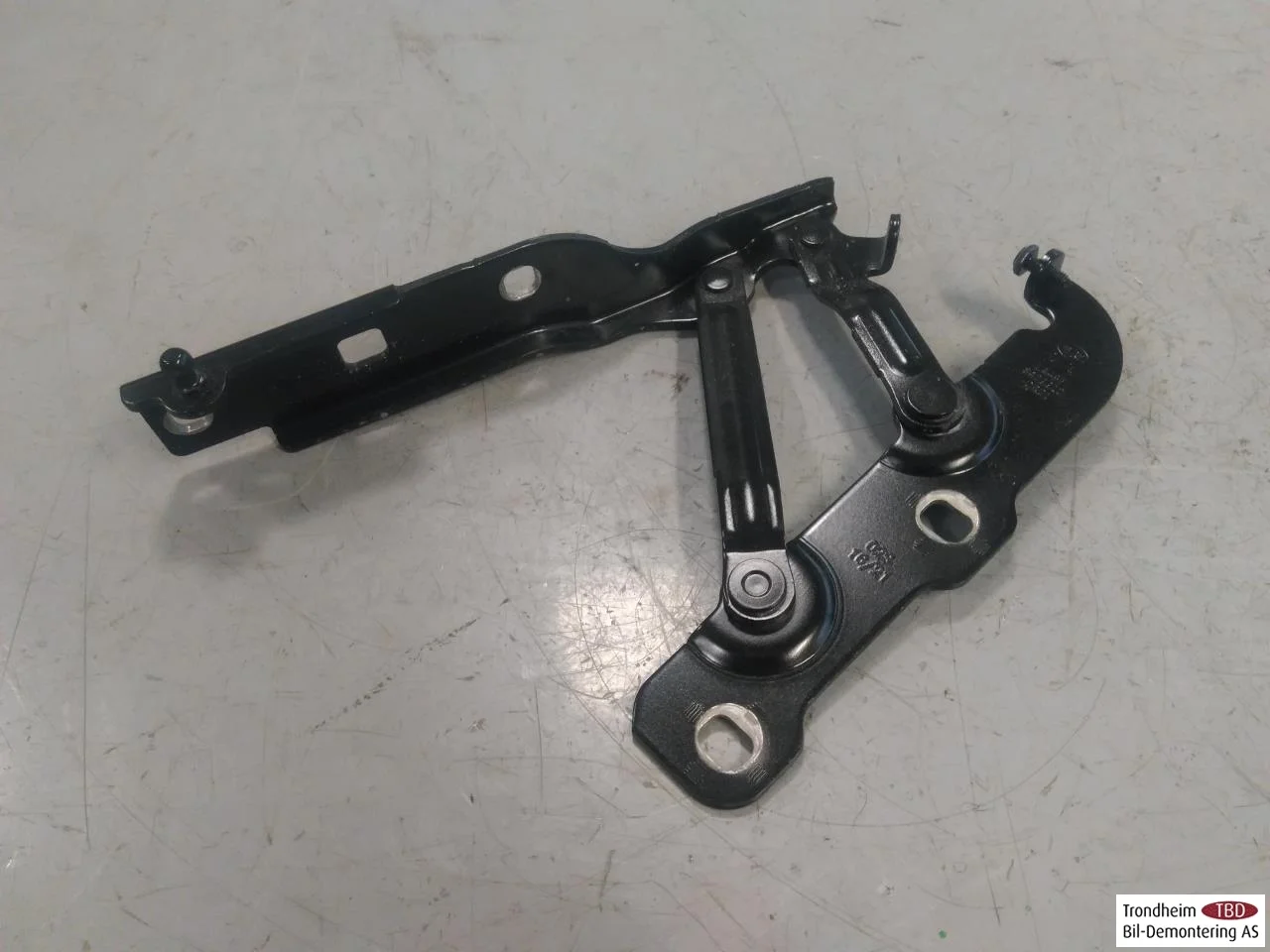 Hongqi E-HS9 2022- Hood hinge(s)