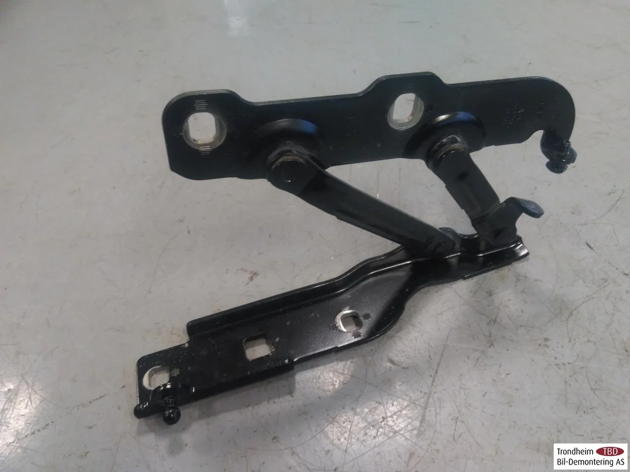 Hongqi E-HS9 2022- Hood hinge(s)