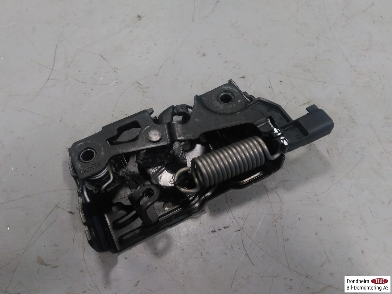 Ford MUSTANG MACH-E 2021- Hood latch view 2
