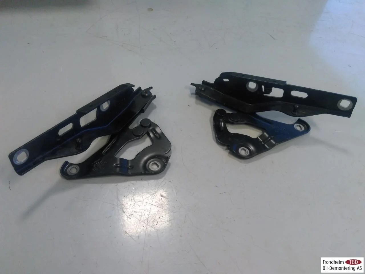 Audi E-TRON GT FW 2021- Hood hinge(s)