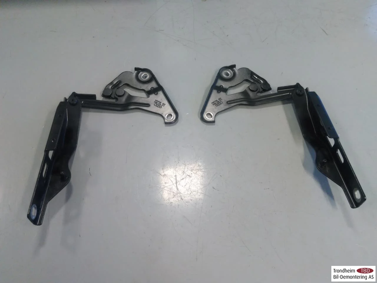 Audi E-TRON GT FW 2021- Hood hinge(s) view 2