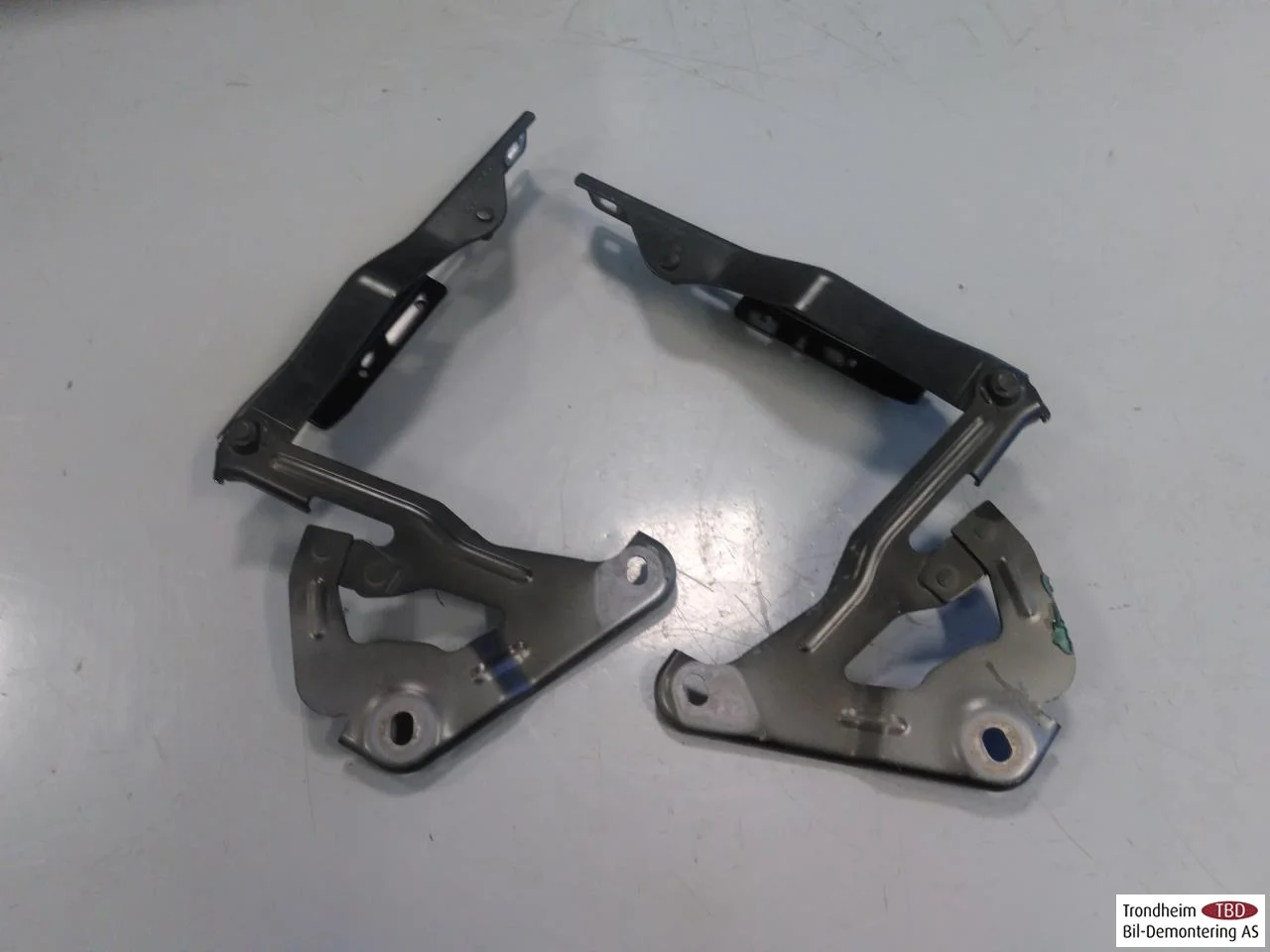 Audi E-TRON GT FW 2021- Hood hinge(s) view 3