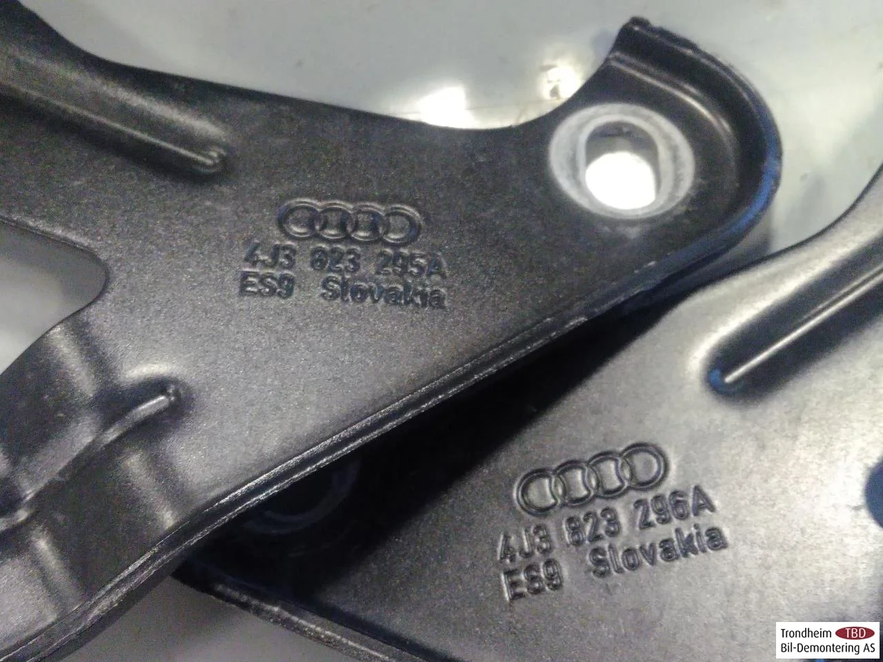Audi E-TRON GT FW 2021- Hood hinge(s) view 4