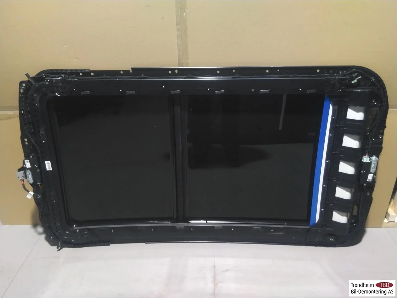 Hongqi E-HS9 2022- Sunroof view 2