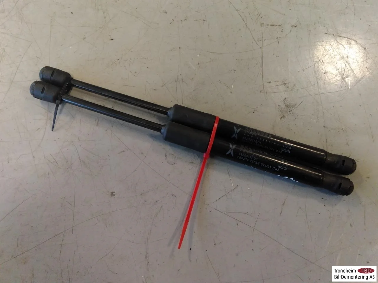 Xpeng P7 2022- Hood gas strut